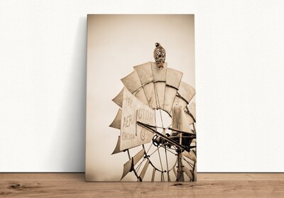 Old windmill photo art, rustic windmill, modern farmhouse wall art, sepia canvas, dining room wall art, rustic kitchen decor - image5